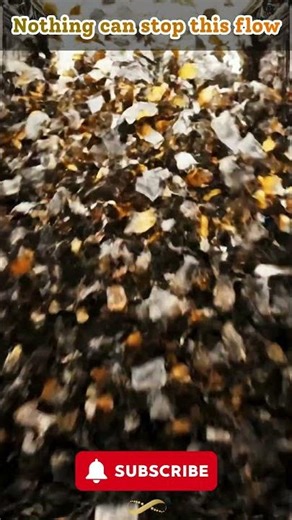 Unstoppable Fortune: The Great Wealth Surge Reveal ✨ #shorts