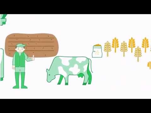 The coproducts of yeast for the environment - Lesaffre