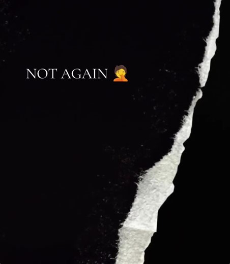 OFFER TO HELP CHIP #chip dranchenfels #fypシ゚viral #stop begging #Bellingham Washington State #stop enabling beggars