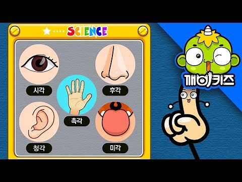 촉감으로 알아요 | 내몸과성 | 미각, 후각, 시각, 촉각, 청각, 오감 | 깨비키즈 KEBIKIDS