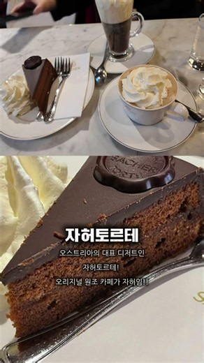 비엔나 카페 후기 #카페자허 #오스트리아빈 #비엔나여행 #아인슈페너