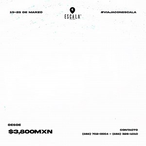 🏝 ¡Spring Break 2025 en Rosarito! 🏝 Fecha: 📆 -Del 19 al 25 de Marzo ‘25 (JRZ: 19/03 5PM - 25/03 6AM) Transporte: 🚎 ✔️Autobuses/Unidad reciente modelo ✔️Seguro de viajero a bordo (RC) ✔️Pantallas plasma y A/C ✔️Puertos de carga Hotel: 🏨 ✔️Hotel Mediterráneo Rosarito *** ✔️Hotel de 3 estrellas ⭐️ ✔️5 días y 4 noches de hospedaje ✔️Alberca privada ✔️A 5 minutos de Papas&Beer 🎉 *Viaje para mayores de edad* Precios por persona: 💵 ➖Habitación para 4: $4,300 ➖Habitación para 3: $4,700 ➖Habitació