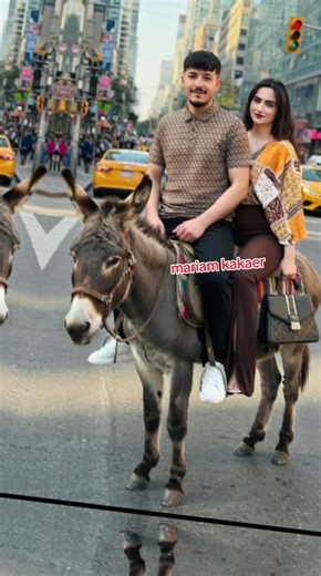 mariam Kaker مریم کاکړ (@mariamkaker)’s videos with ما شال آوردیم - Mehdi Farukh