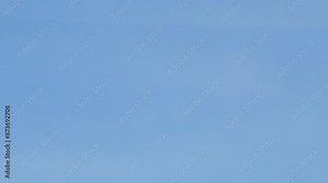 A kite blown by a strong wind with sky in the background on a sunny morning