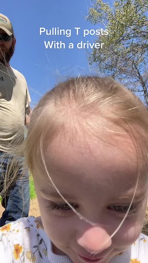 Pulling T Posts with a Driver