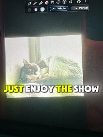 I want my cat back…#sad#cat#death#laying#down