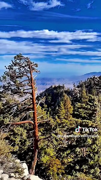 #creatorsearchinsights Palm Springs Aerial Tramway #tramway #palmsprings #travel #hiddengems