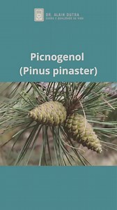 47 reactions · 11 shares | Benefícios do Picnogenol extraido da casca do Pinheiro Marítimo ou Pinus Pinaster. . . . . . . Dr. Alain Dutra Médico CRM SP 102211 RQE 27294 Consulte seu médico antes de retirar ou iniciar qualquer suplemento ou medicamento. | Dr. Alain Dutra CRM SP 102211 | Facebook