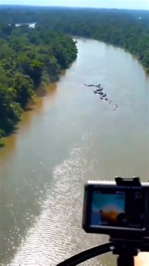 10M views · 57K reactions | Titan Anaconda in the Amazon! #storytime #storyteller #nightgod #story #anaconda | Nightgod333 Secrets Revealed | Facebook