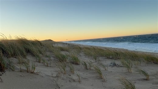 Steven J. Girvin on Reels