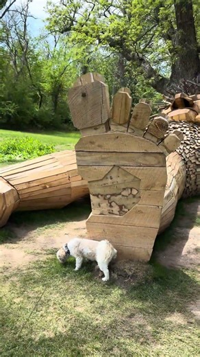 Cooper meets Marvin the troll in Clinton, Iowa #shihtzumania