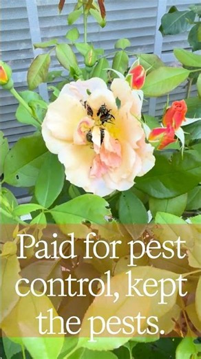Paid for pest control, kept the Pests. #money #pestcontrol
