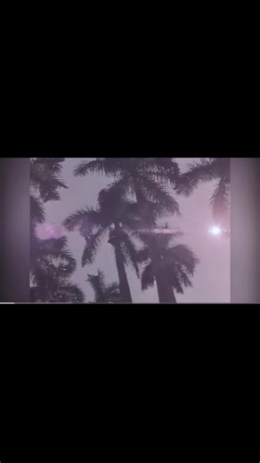 It’s @pawssavingpaws save a life live Sunday live from ACS San Antonio join us to help pups in need #savetexasdogs #pawssavingpaws #acssanantonio #savealife @PittieMom4Life3 @Kimfitz22🇨🇦 @Rozay💙Weenie💙Willo🐾 @Deannastinydinycrew @PittieMom4Life2 @deannas_tiny_dinys @Grace @PSP Hannah’s Hope @sharyl3c