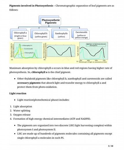 Bio Class 11 Chapter-13 notes Photosynthesis in higher plants