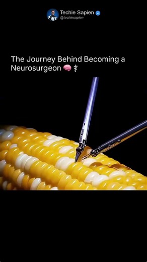 This Is How Neurosurgeons Train Before Operating on the Brain 🏥🧠