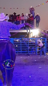Desde que soy espectador de jaripeo, por esas vidas de jinetes que he visto partir, se que no están ahí montando un toro por dinero, se que están ahí por ese gusto y valor que sacan solo ellos saben de donde Hemos visto jinetes jóvenes irse con una trayectoria tan corta que quizá su nombre no llego muy lejos, pero ahí estaban presentes en cada Jaripeo que podían con la esperanza de que les asignarán un toro, he visto irse a jinetes de gran trayectoria que dejaron bien marcado su nombre Su paga a