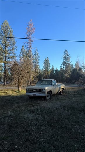 #truck #pos #shitbox #gasser #chevy