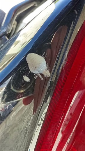 j'ai fini dans le focé à code de la pluie