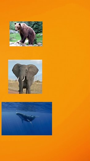 comparative and superlative forms #english #easyenglish #englishteacher #fyp #superlative #comparative #viral