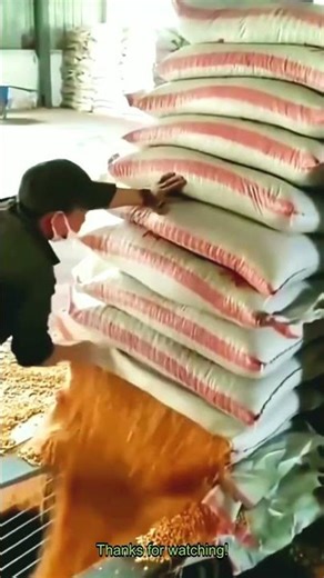 How to Master TR6JI0ZM Workflow #ProTips #Efficiency_R