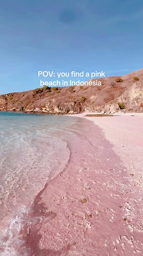 Exploring the Enchanting Pink Beach of Komodo Island