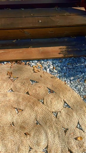 Thank you all for coming out to my Christmas Mini’s Juniper Lane Owasso had the cutest backdrop 🌲🎅 | Erika Teel Photography