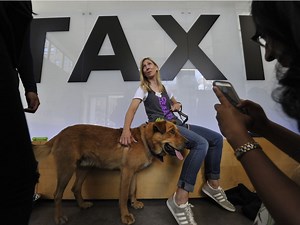 Puppies pop up in downtown Vancouver hoping for adoption