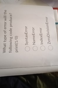 What type of error will the following code produce? print (1/0)... | Filo