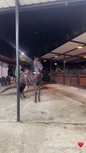 Aida Victoria Merlano Video Content Compilation