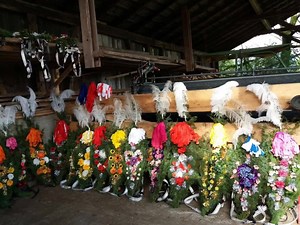 1K views · 76 reactions | Die Vorbereitungen für den Almabtrieb am Samstag laufen auf Hochtouren. Wir gewähren einen kurzen Blick hinter die Kulissen und einen Ausblick auf das, was euch erwartet! Wir sehen uns hoffentlich!!!! www.alpbachtal.at/almabtrieb | Alpbachtal | Facebook