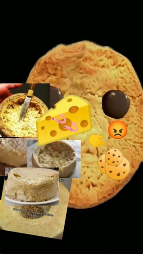 eat dirty cheese maggots italy in the cookies don't eat cook