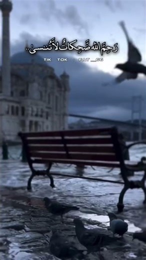 ٢٠ فبراير ٢٠٢٦