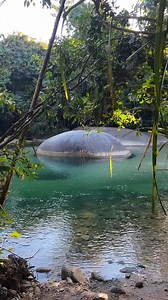 204K views · 7K reactions | Looking for more information? ⬇️ ⛺️ -...