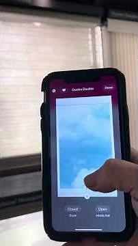 Hunter Douglas Duette DuoLite