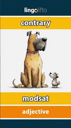 🇬🇧🇩🇰 contrary - modsat : learn English : Lad os lære engelsk : vocabulary builder