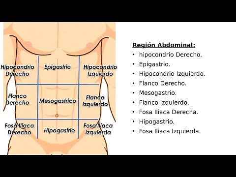 🔴 COMO HACER LOS 9 CUADRANTES (REGIONES) ABDOMINALES | DIVISION TOPOGRAFICA | BIEN EXPLICADO