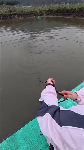 Master the Art of Casting a Net for Fishing