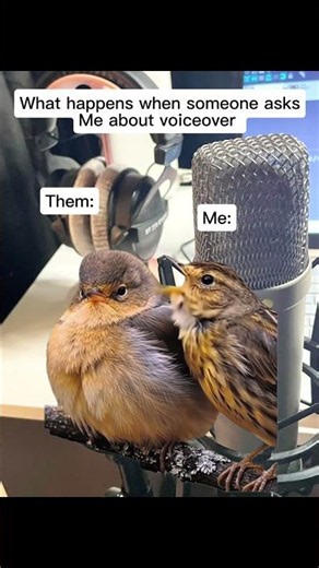 How much time you got?? 😂 #voiceacting #actorslife #voiceover #chatterbox