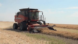 Canola School: Yield targets help to maximize crop profitability