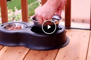5 Affordable Heated Water Bowls Outdoor Pets (And Strays) Will Appreciate