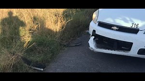 Alligator escapes capture, takes bite out of Louisiana police car