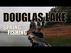 DOUGLAS LAKE: Tennessee Spring Bass Fishing