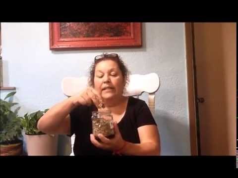 Easy cleanse to remove worms from the body (Mugwort)