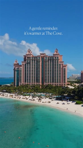 122 reactions | While the seasons shift at home, at The Cove, the sun still lingers, the water stays warm, and the pace feels just right. Share this with someone who could use a break from the cold. #TheCoveAtlantis #ParadisePerfected | The Cove Atlantis | Facebook