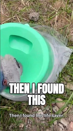 Mon chien ne s’arrête jamais… jusqu’à ce jouet ! 😂🐶Le jouet ultime pour canaliser l’énergie des chie