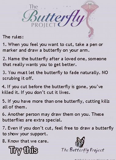 #butterflyproject #thebutterflyproject #day1 #healing #love #journey | the butterfly project