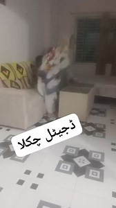 Hot movie 🌺 🌹 girls 🥀 ❤ #hot #girls #new mumbai nurs with doctor #markzagarbarg nursa with doctor MUMBAI India Vs Australia Live, Ind Vs Aus WTC Final Live, live match today live cricket 🏏 today live cricket score update BD live cricket live 💚 💚 💚 #explorepage💚 #trend #trending💚 💚 #trendingreels #explore 💚 💚 💚 ❤ i miss you 🥀 ❤ i love you janu ❤ #i Lov U beauty❤ ❤ #I Mis Sona Darling🍑 ❤ ❤ 💚 💚 #review #Netflix #love💚 💚 💚 Los Angeles Nurs & Doctor ke saath #FIFAWordcup #Talabp #