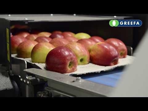 GREEFA SmartPackr packing robot