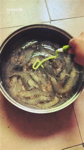 Shrimp that comes back to life with shrimp sauce 🤣🦐Chinese method