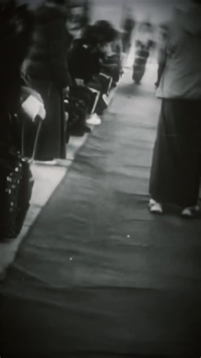 Nostalgic Graduation Memories to Cherish